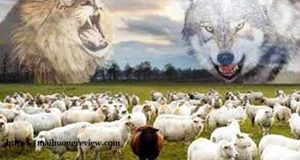 Nếu là bầy cừu, bạn sẽ chọn sói hay sư tử? Câu trả lời sẽ cho biết bạn sẽ lên lãnh đạo hay suốt đời làm nhân viên