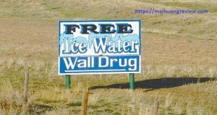 Cốc nước đá miễn phí - Ý tưởng "rẻ tiền" cứu cửa hàng sắp phải đóng cửa thành doanh nghiệp trị giá hàng trăm triệu USD